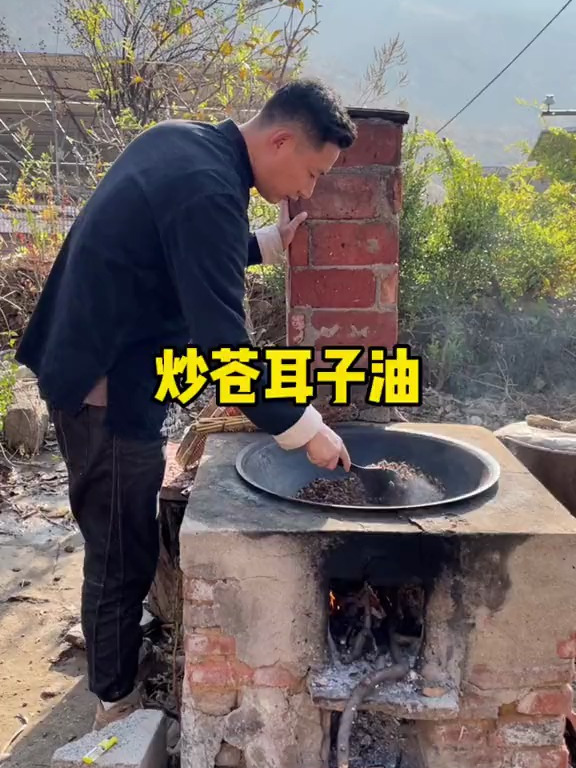 苍耳子大家子都认识,但你见过苍耳子可以做成苍耳子油吗 苍耳子