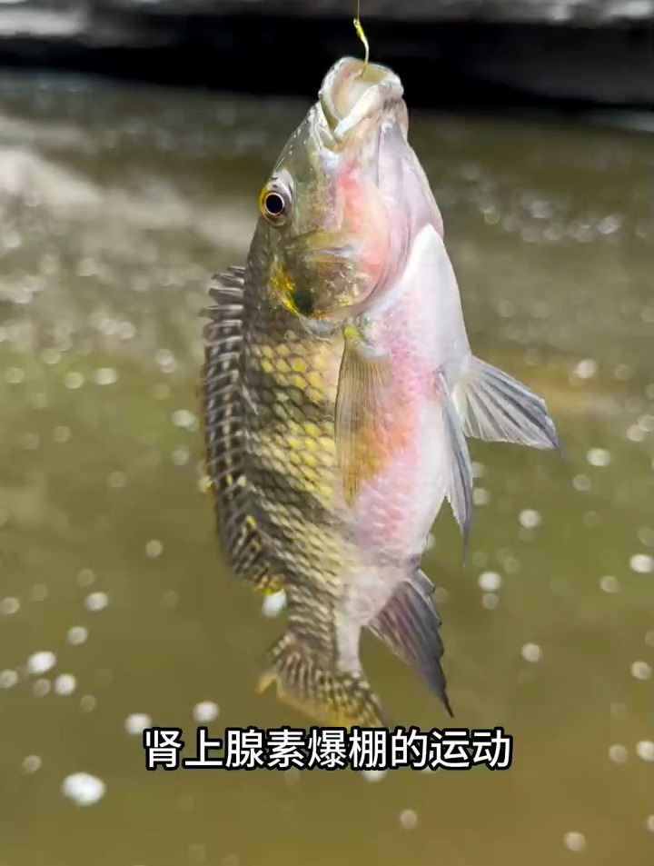 钓鱼三年还没有穷,这说明什么?