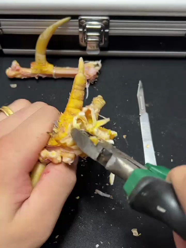 解压手工制作文玩鸡爪骨