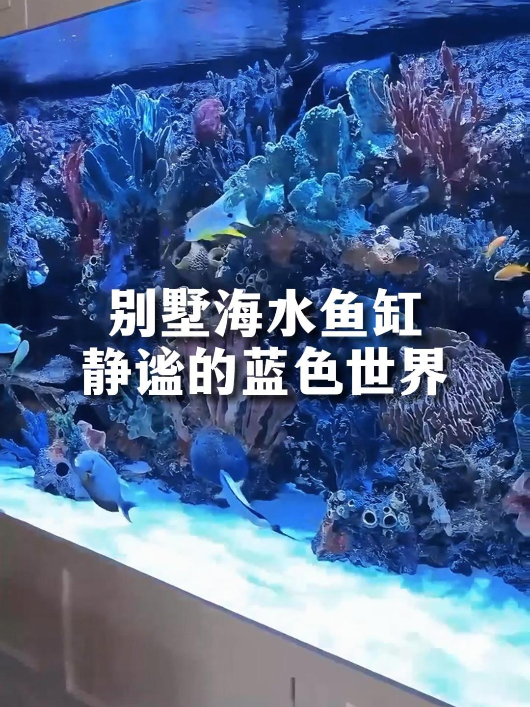 别墅嵌入式海水鱼缸,呈现极致透明与美丽