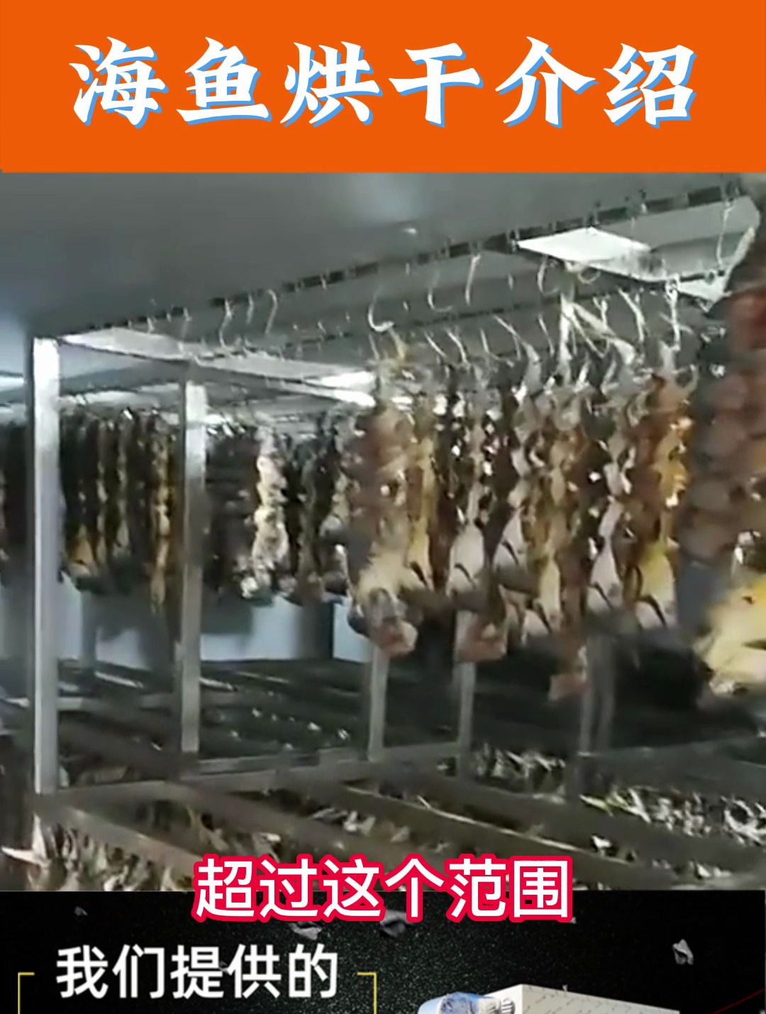 海鱼烘干机 黄花鱼 带鱼 小鱼小虾低温冷风除湿烘干设备