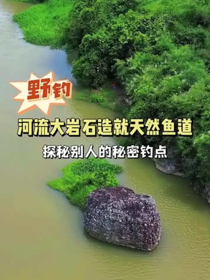 河流大岩石造就天然鱼道,探秘别人的秘密钓点