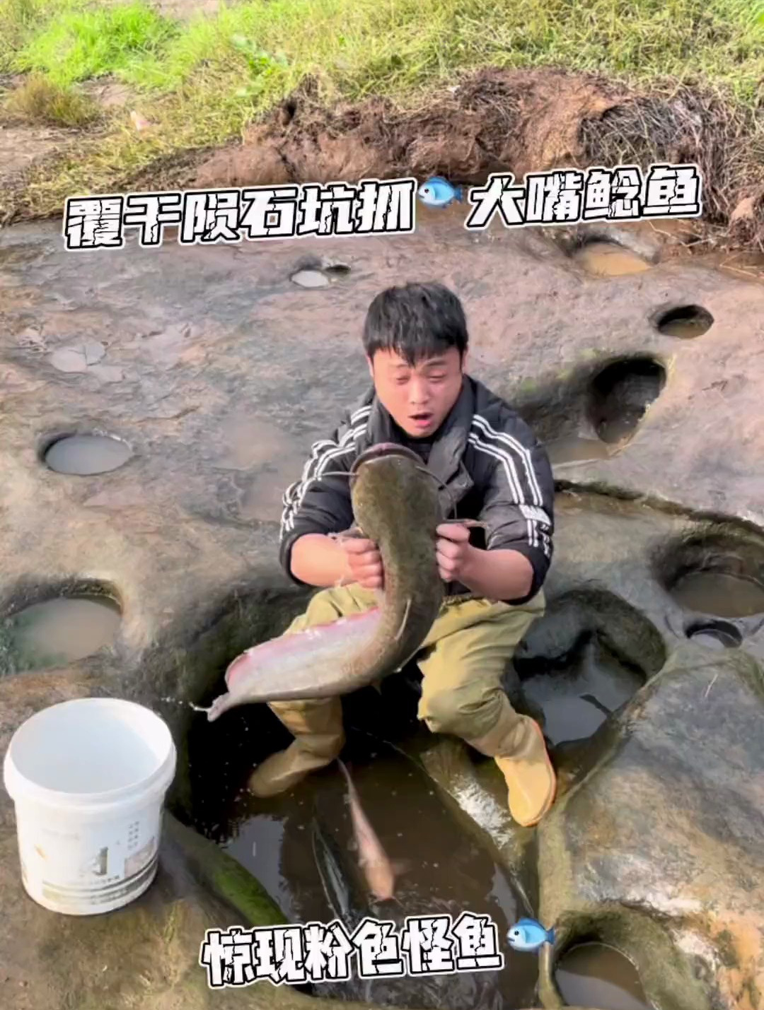 覆干陨石坑的水竟然发现一条粉色变异的怪鱼