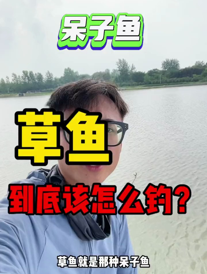 钓草鱼用对方法,鱼儿只要进窝,河边拴条狗都能钓!
