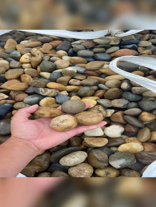 彭水园林景观拼装铺路黄色鹅卵石 河道护坡大块河卵石