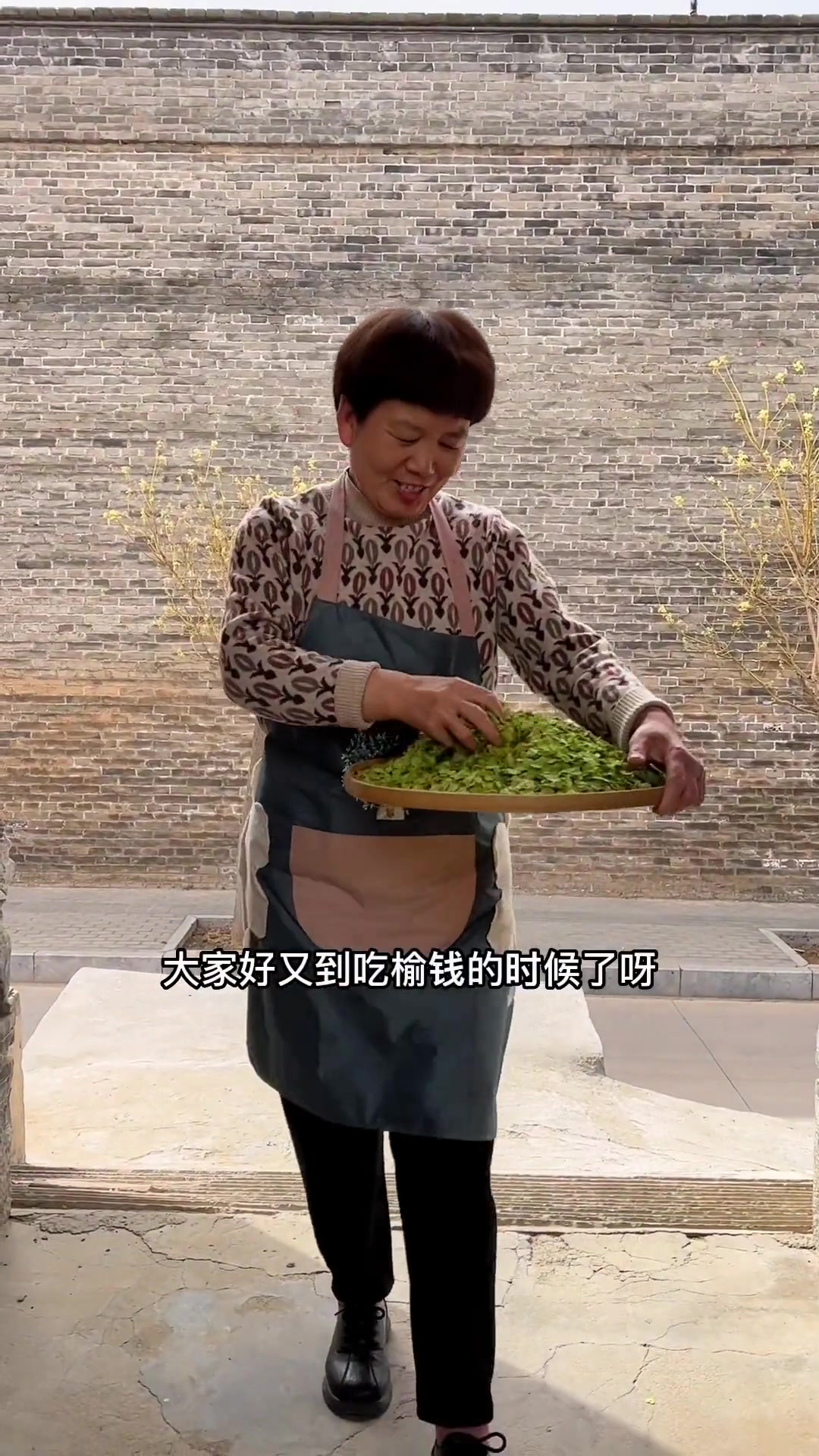 今天分享一个蒸榆钱窝窝的家常版做法