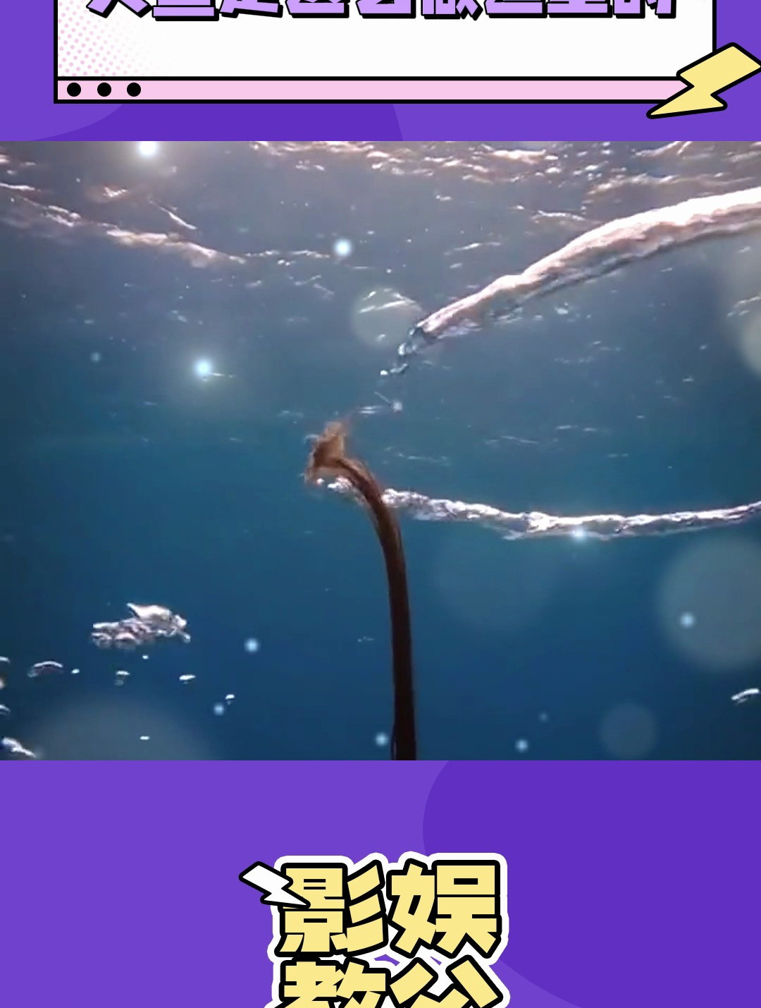 你们人鱼在海底都是这么卷发的