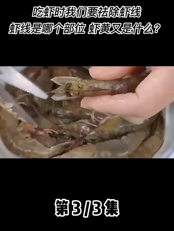 吃虾时我们要去除虾线 虾线是哪个部位 虾黄又是什么