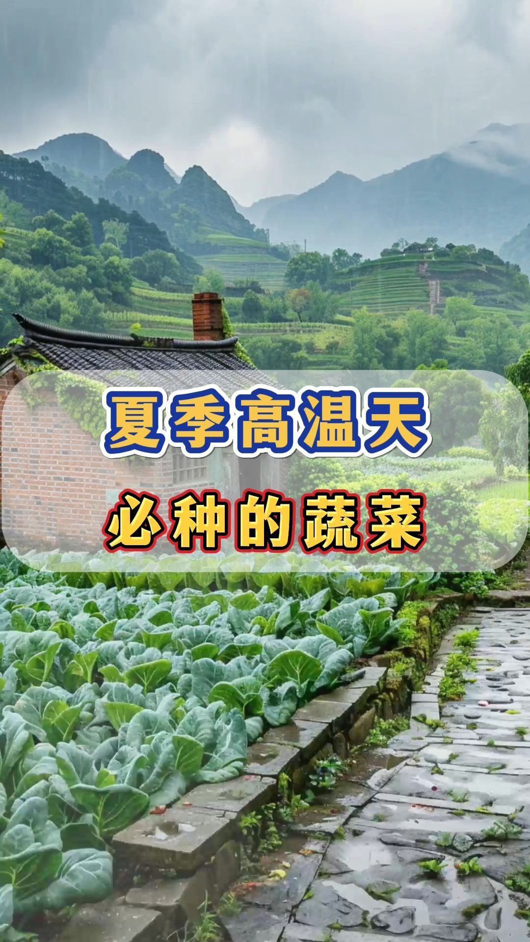 夏季高温天,必种的蔬菜