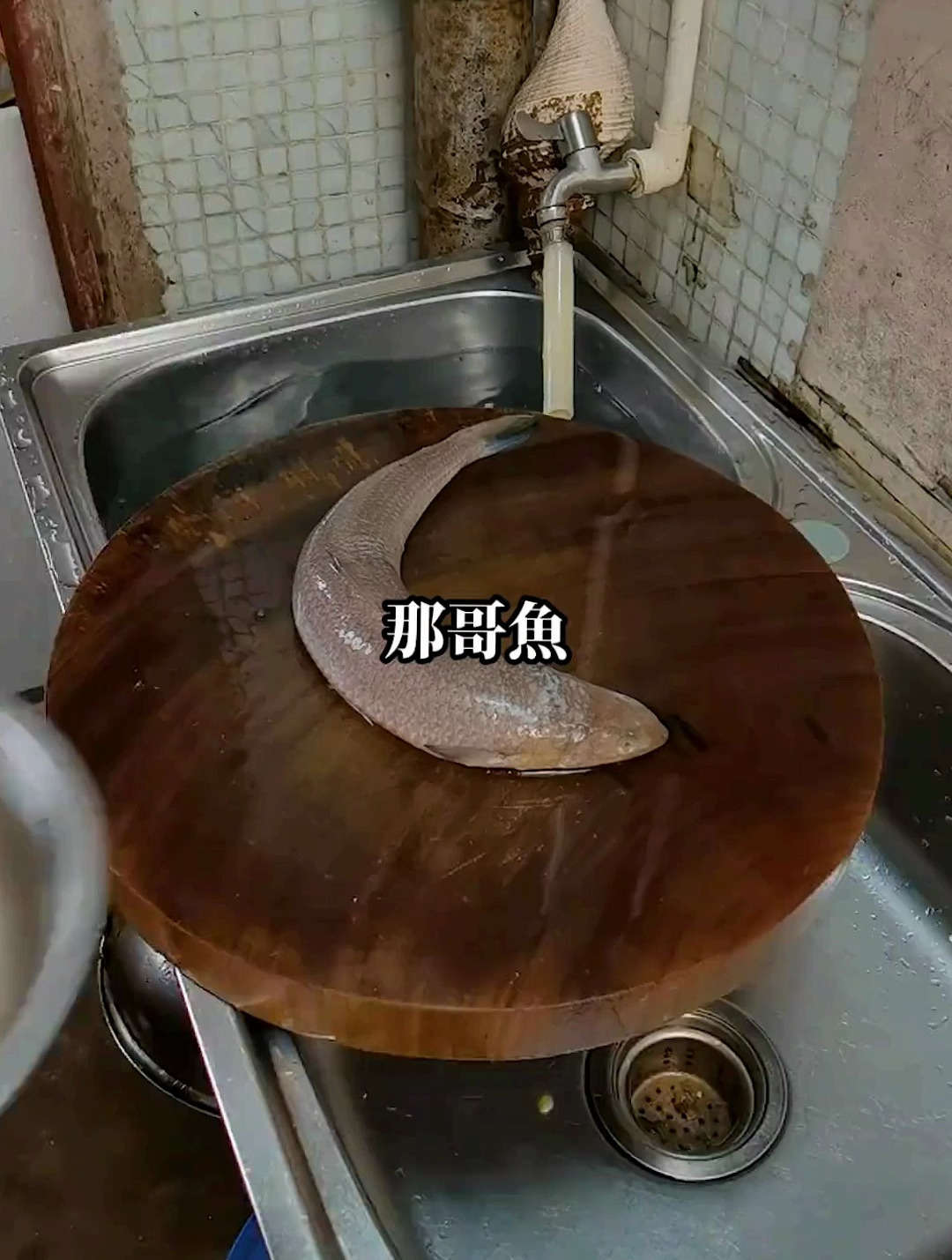 那哥鱼煎葱花蛋,味道简直是太鲜美了