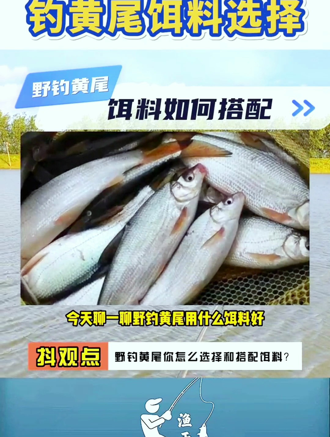 野钓黄尾如何选择和搭配饵料,分享饵料搭配,让你垂钓黄尾更简单