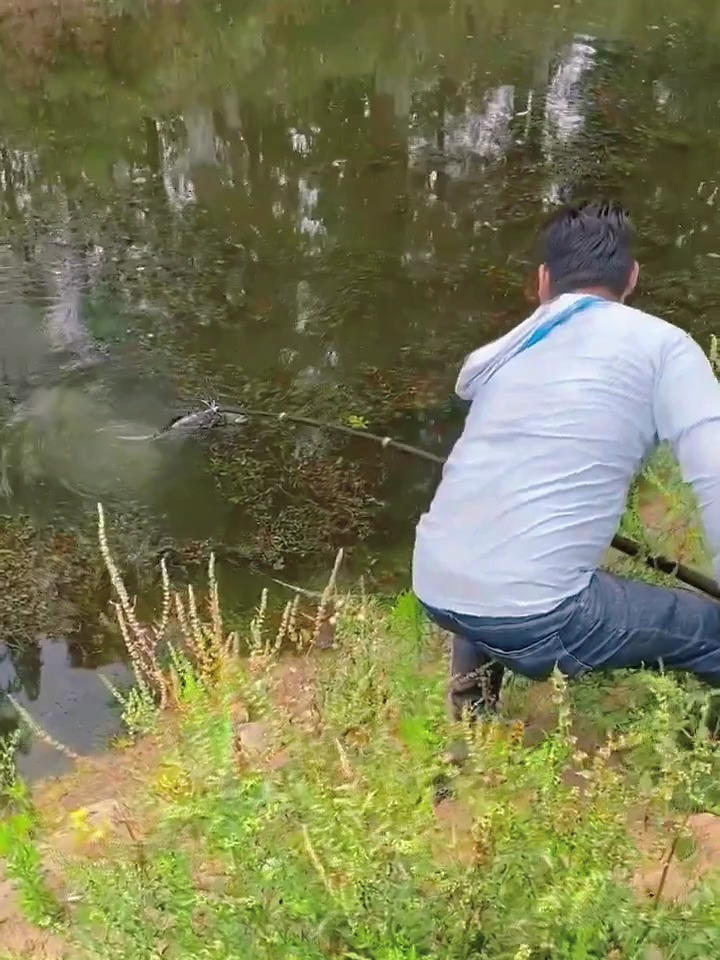 这个鱼叉可真好用,用它叉鱼中鱼几率太高了,设计巧妙真好用