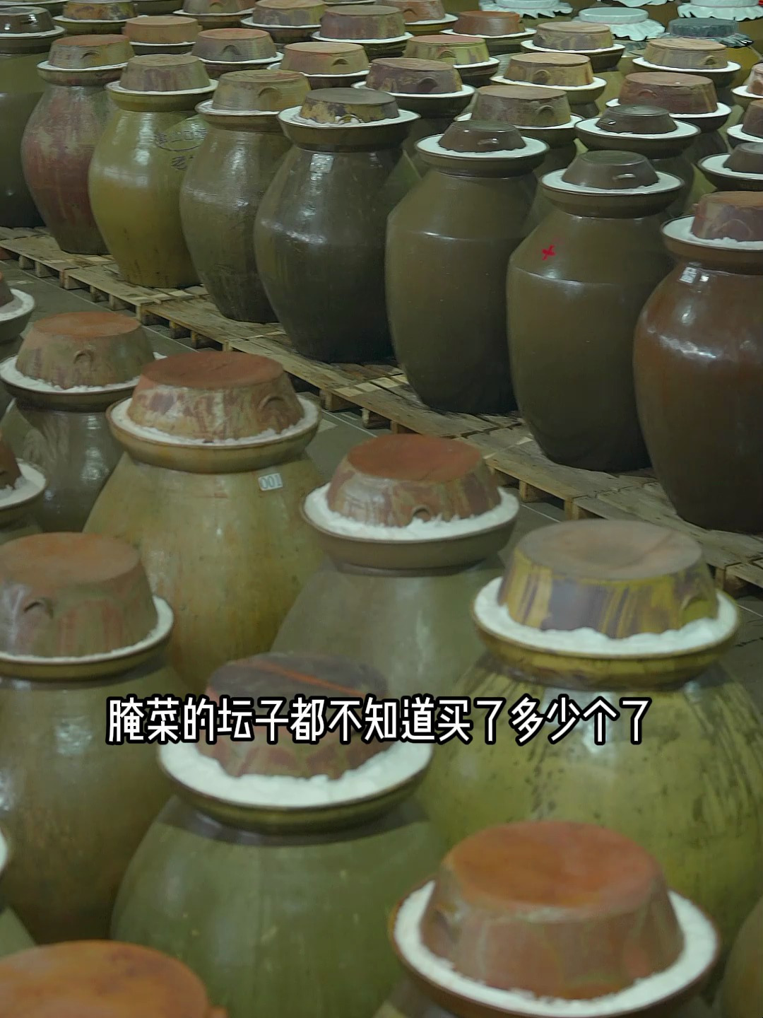 湖南的招牌菜酸辣鸡杂只用鸡胗做成瓶装真的家家必备下饭菜