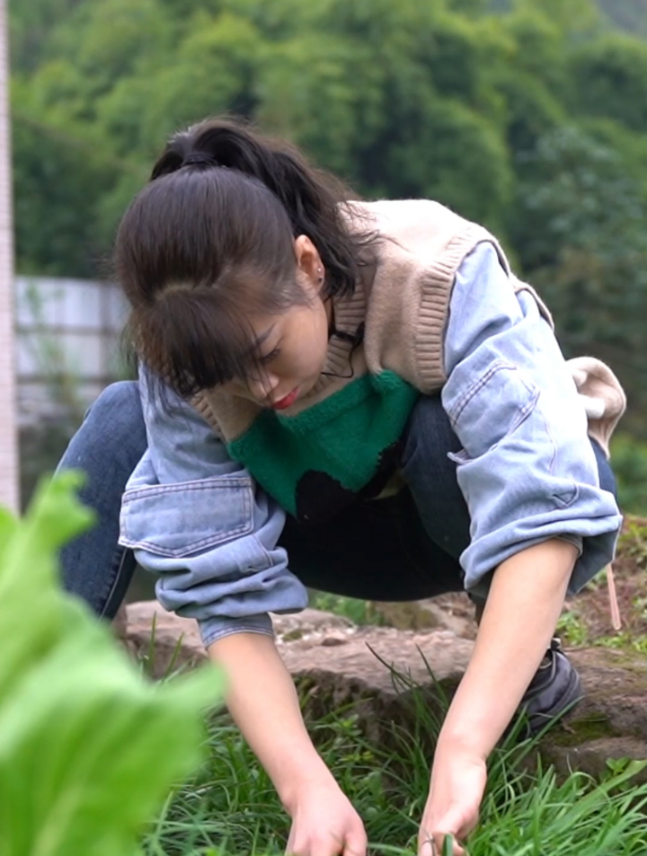立冬为家人做一顿热气腾腾的韭菜鲜肉水饺,温暖入冬