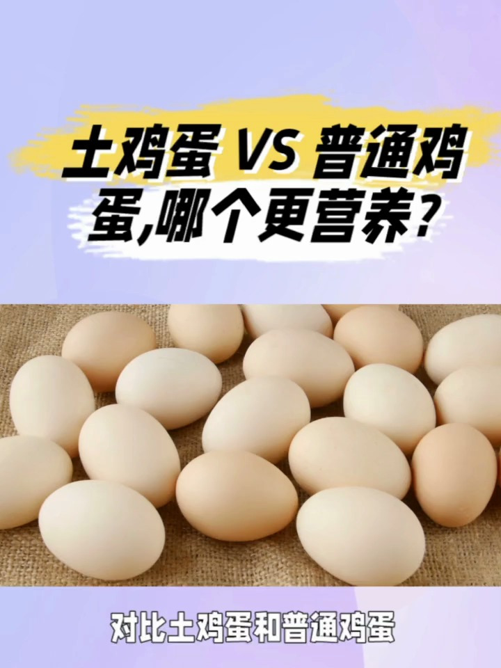 土鸡蛋vs普通鸡蛋,哪个营养价值高?
