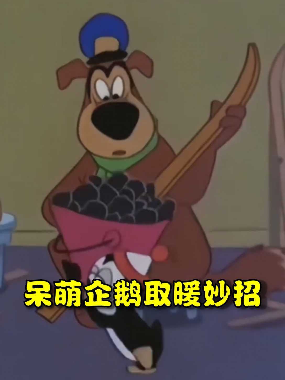 《呆萌企鹅取暖妙招》呆萌企鹅取暖妙招,取暖妙招乐无穷