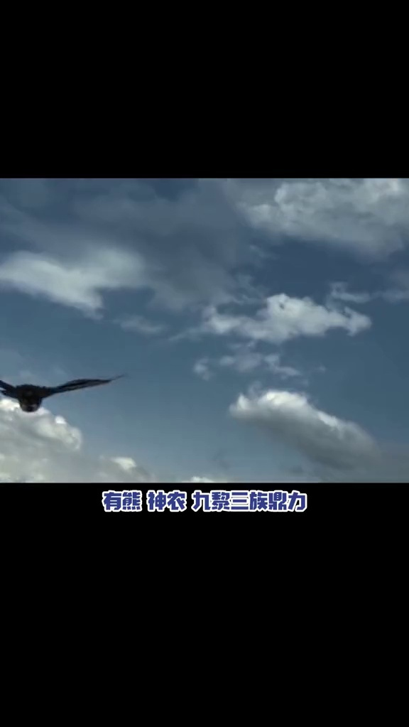 信白的原来还有这么凄美悲伤的背景故事