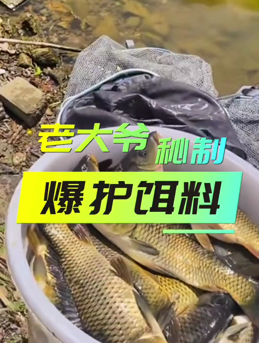 88岁大爷钓鱼从来不空军,难道有什么秘方?原来饵料加了这东西!