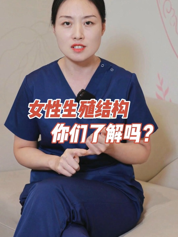 女性生殖器的结构,你们了解吗?