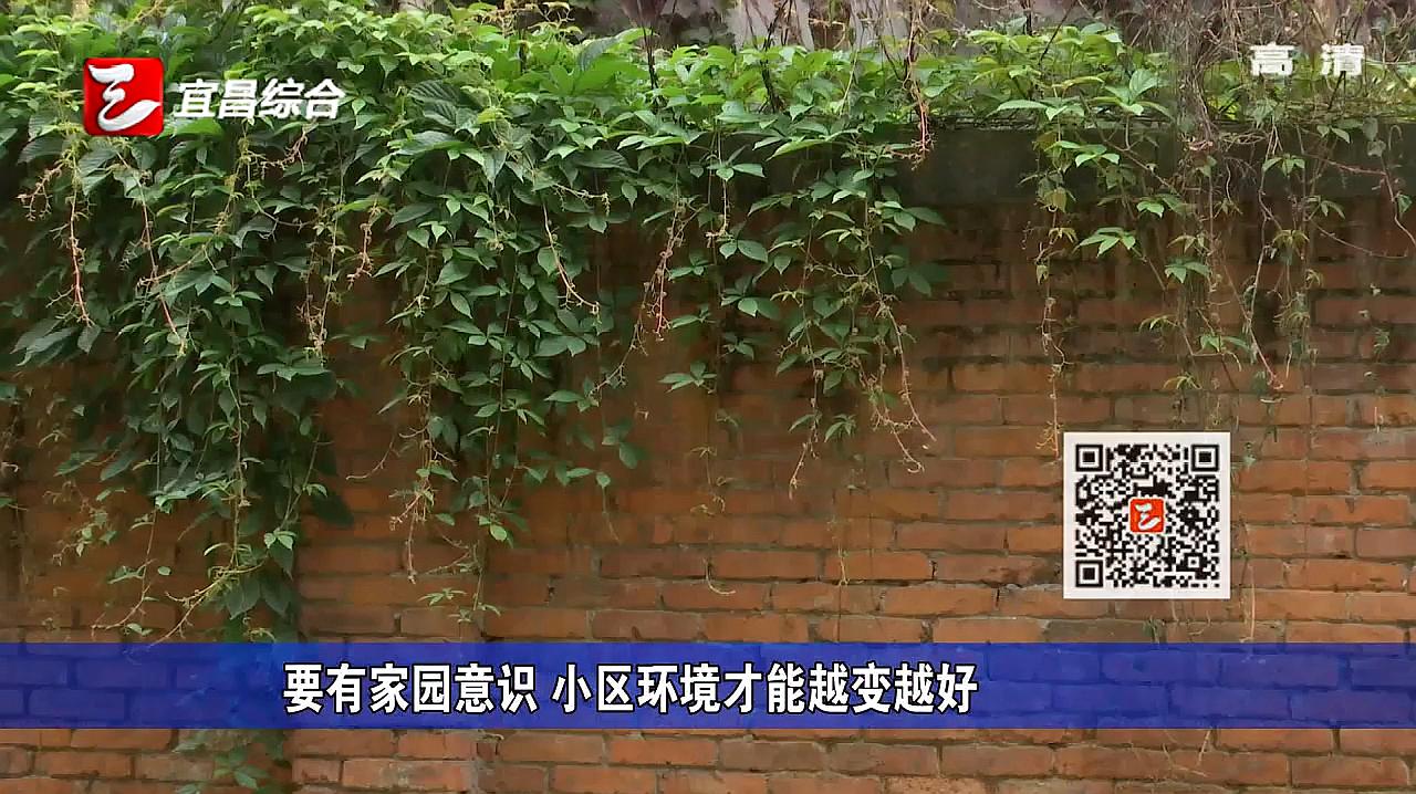 [图]提升基层社会治理水平 构建共建共治共享新格局