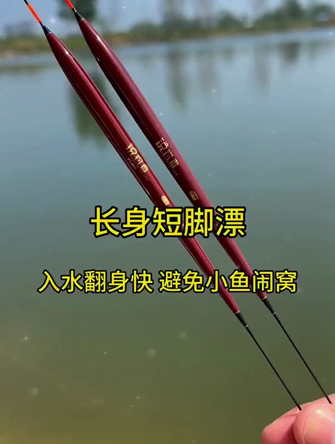 长身短脚漂的特点是什么?为何轻松避免小鱼闹,这几种鱼类的克星