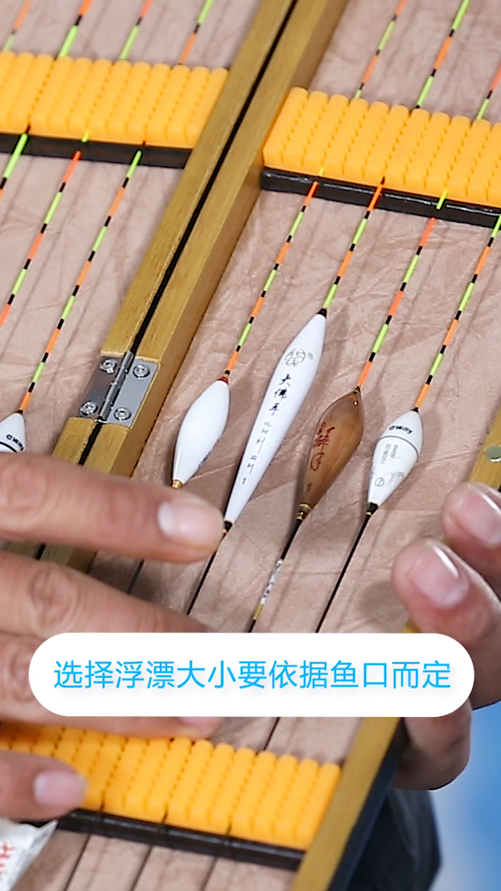 小鱼用小漂,大鱼用大漂,浮漂你真的会选吗?