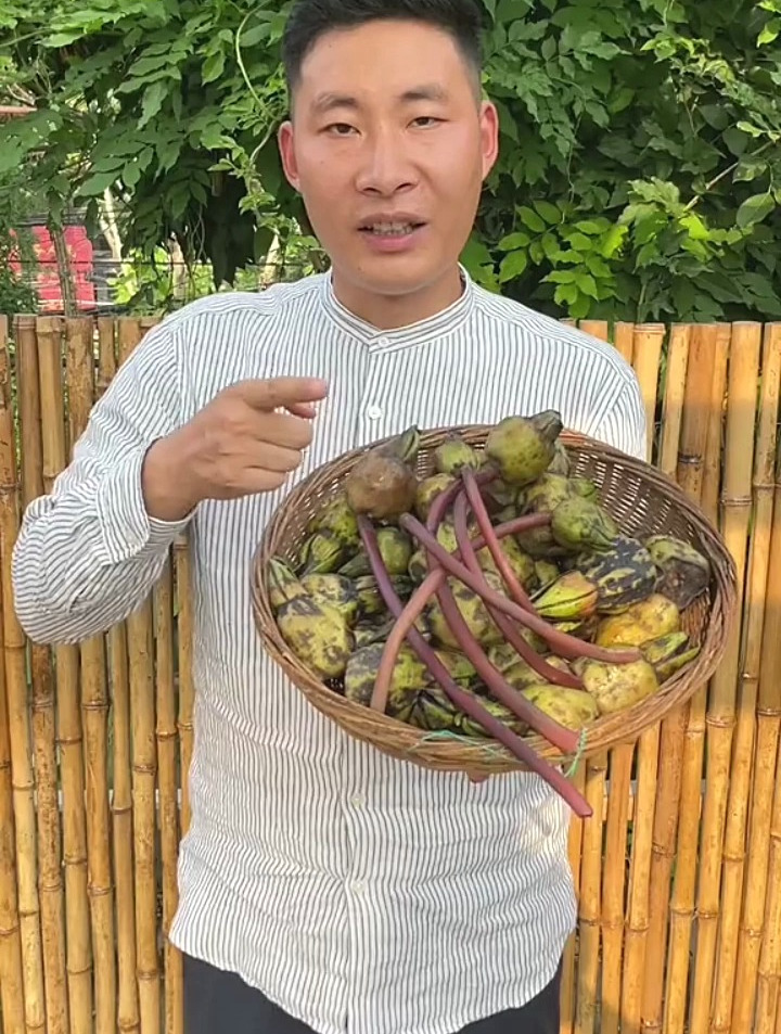 芡实有水中人参之称,价值很高。有健脾止泻之功效