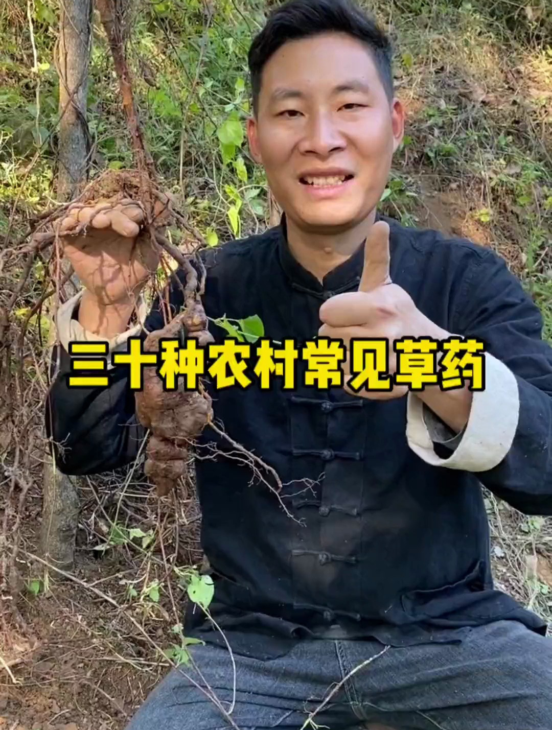 这些农村常见的中草药,你见过那些?评论区说说看