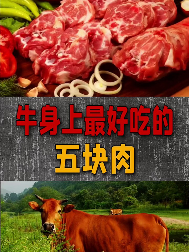 牛身上最好吃的五个部位的肉!