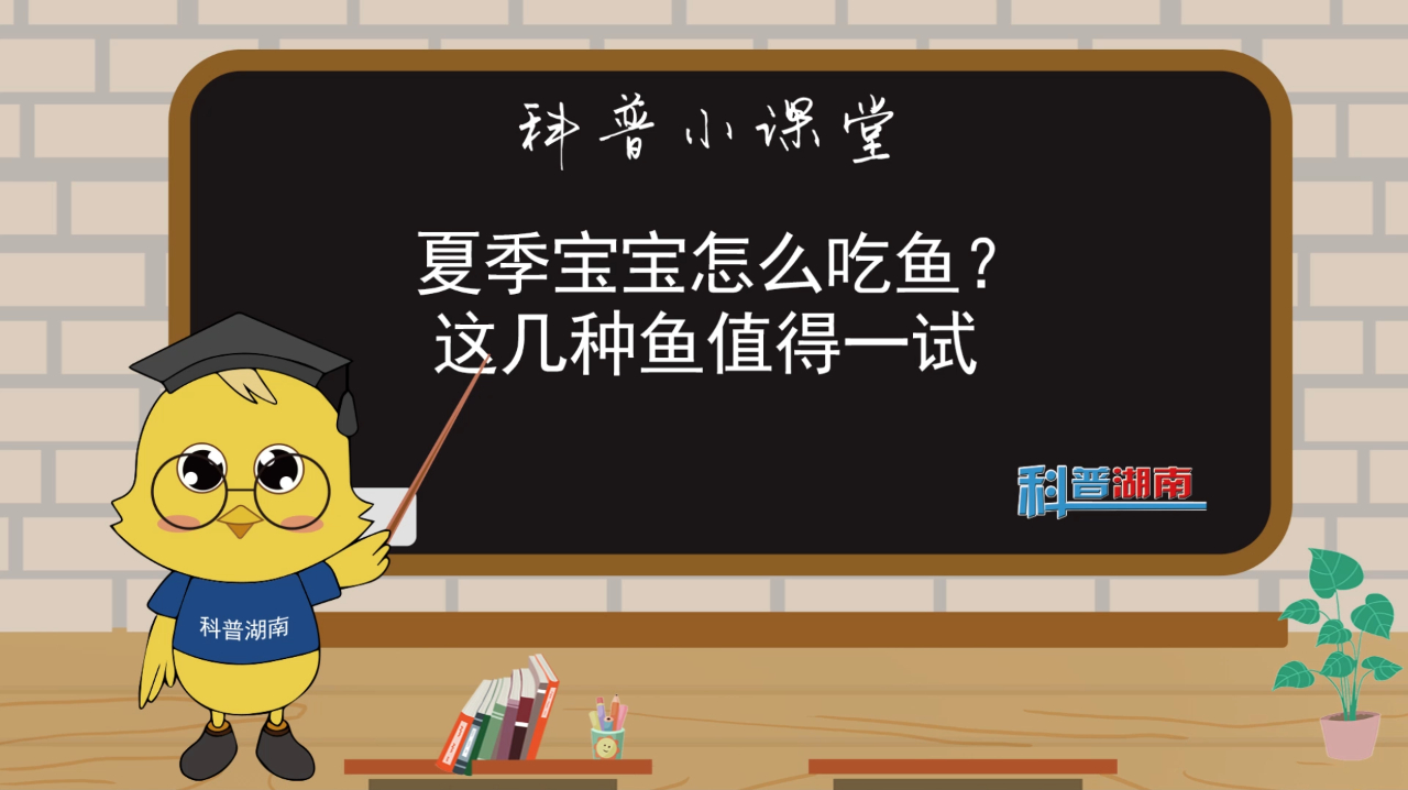 坨说坨话:夏季宝宝怎么吃鱼?这几种鱼值得一试