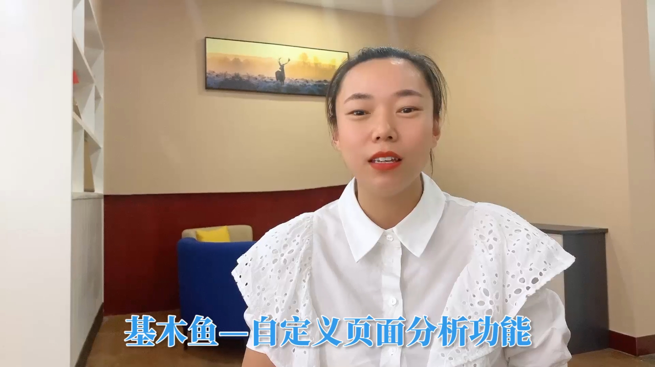 基木鱼-自定义页面分析功能讲解