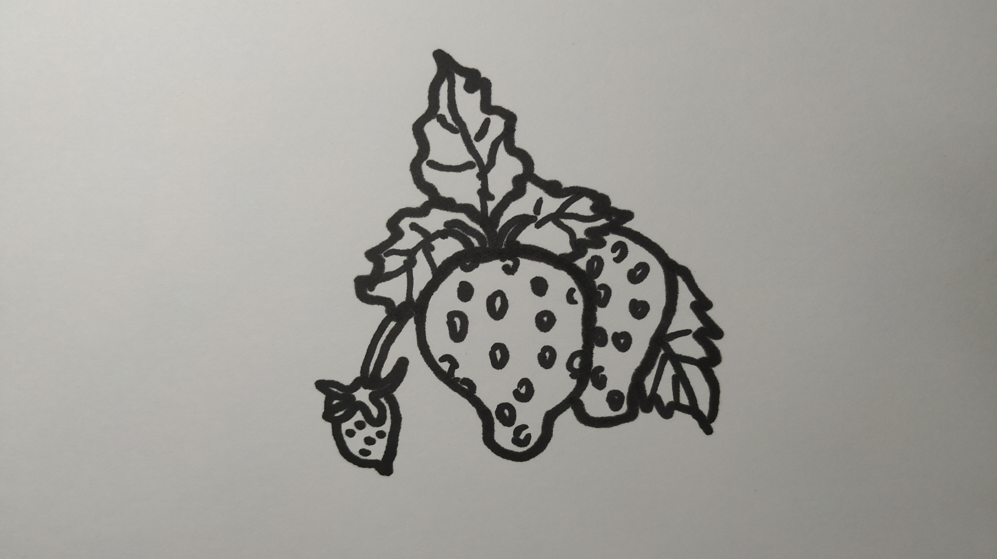 简笔画:一串可爱的(草莓)你喜欢吃吗?