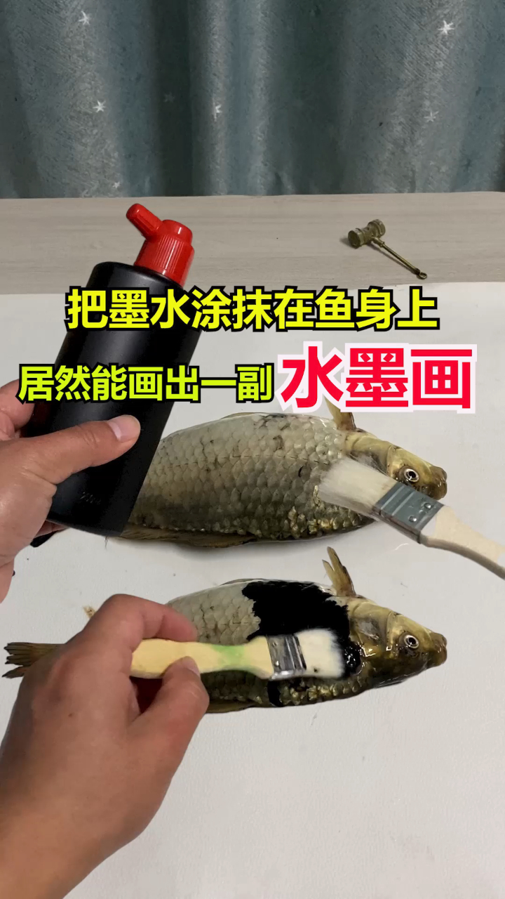 把墨水涂抹在鱼身上,居然能画出一幅漂亮的水墨画,太神奇了