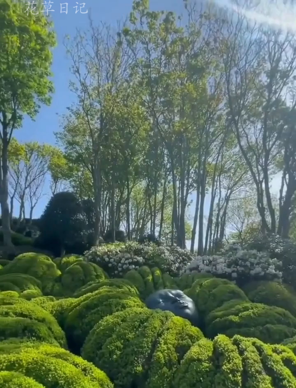 法国埃特尔塔有个废弃庄园,变身成创意花园,雕塑跟园林完美结合,2017年建成的公共花园,新