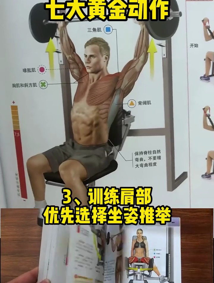 《肌肉力量训练图解》,新手工具书 健身 力量训练 好身材练起来