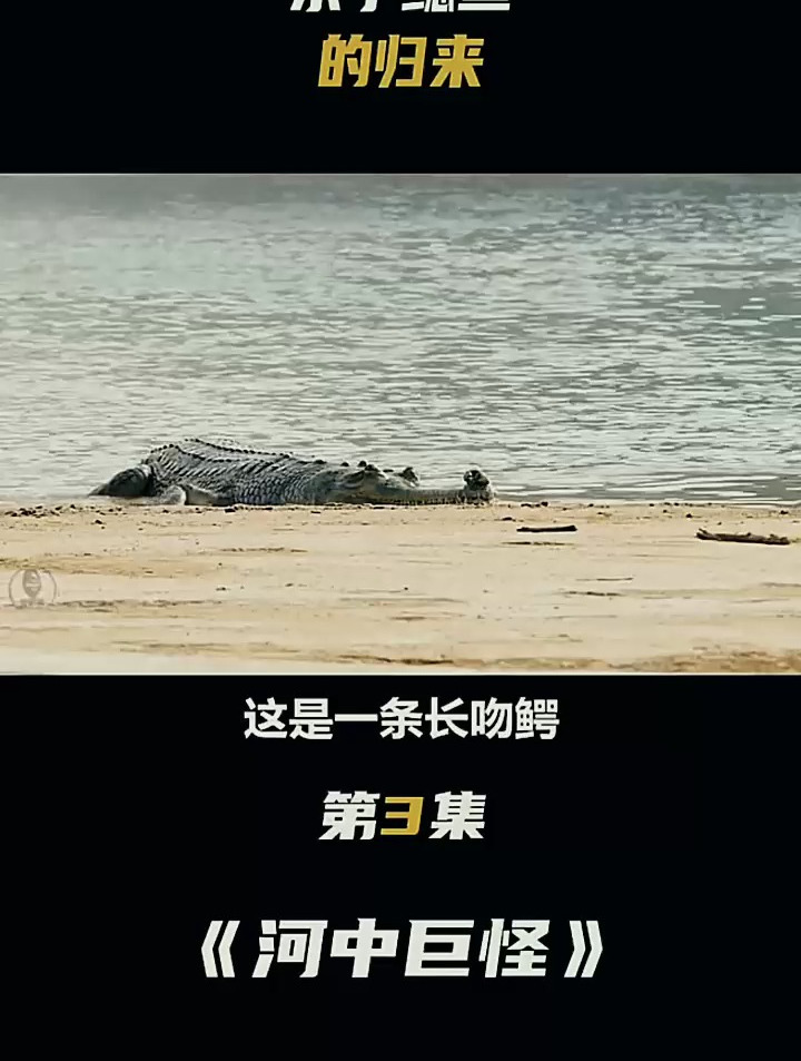 河中巨怪 坦克鸭嘴鲶