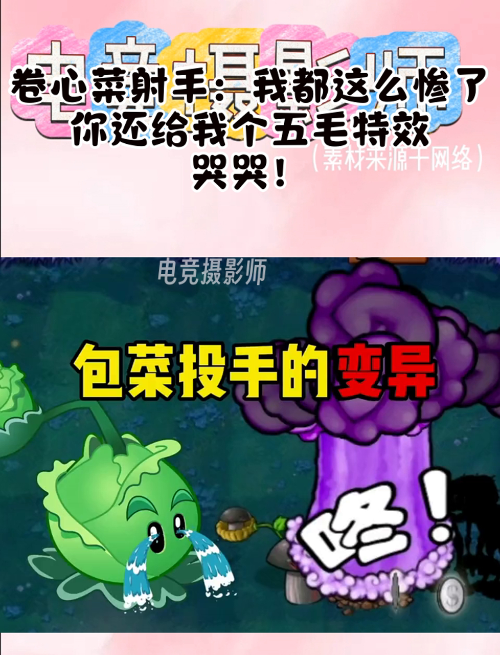 卷心菜射手:我都这么惨了,你还给我个五毛特效,哭哭!