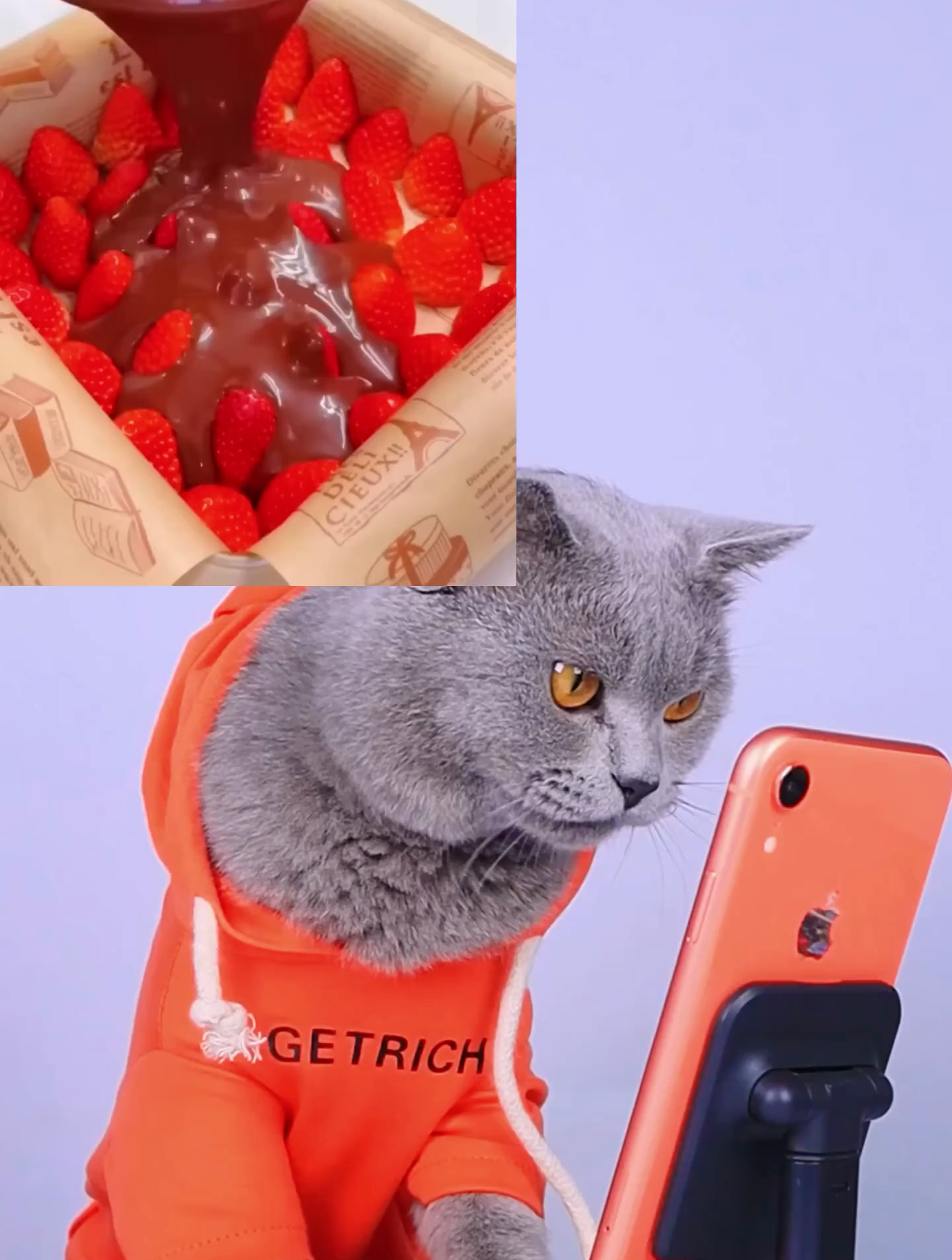 好像还是很不错的
