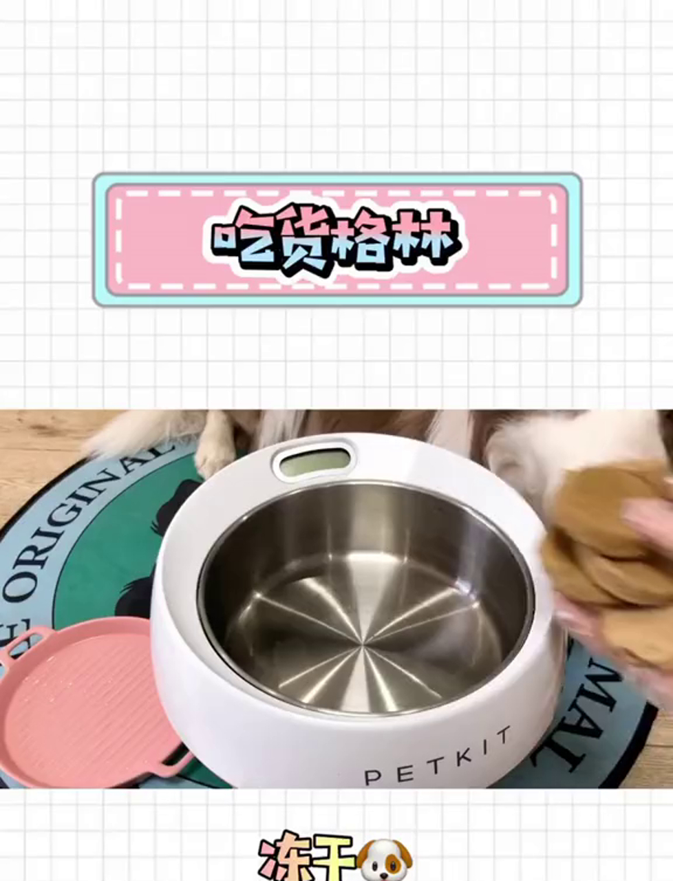 澳洲特产鳄鱼肉干,不是国内货,不是野味,宠物小零食!