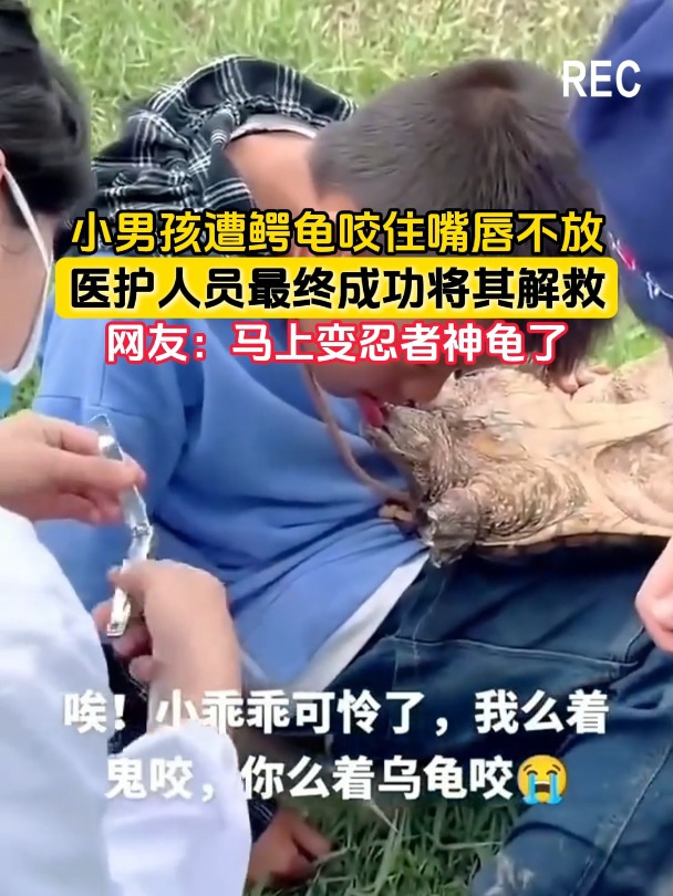 小男孩遭鳄龟咬住嘴唇不放,医护人员最终成功将其解救