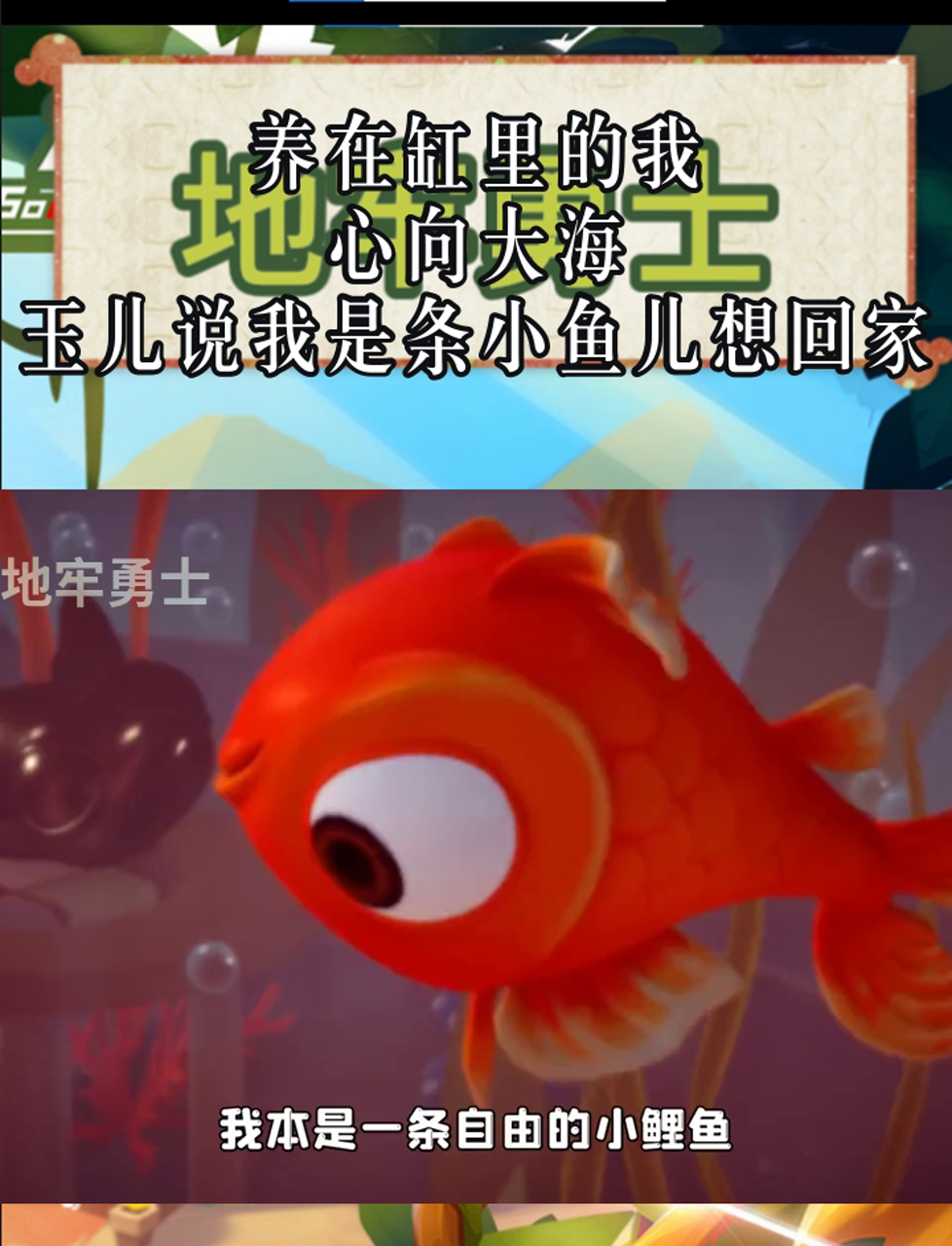 养在缸里的我,心向大海,玉儿说我是条小鱼儿想回家