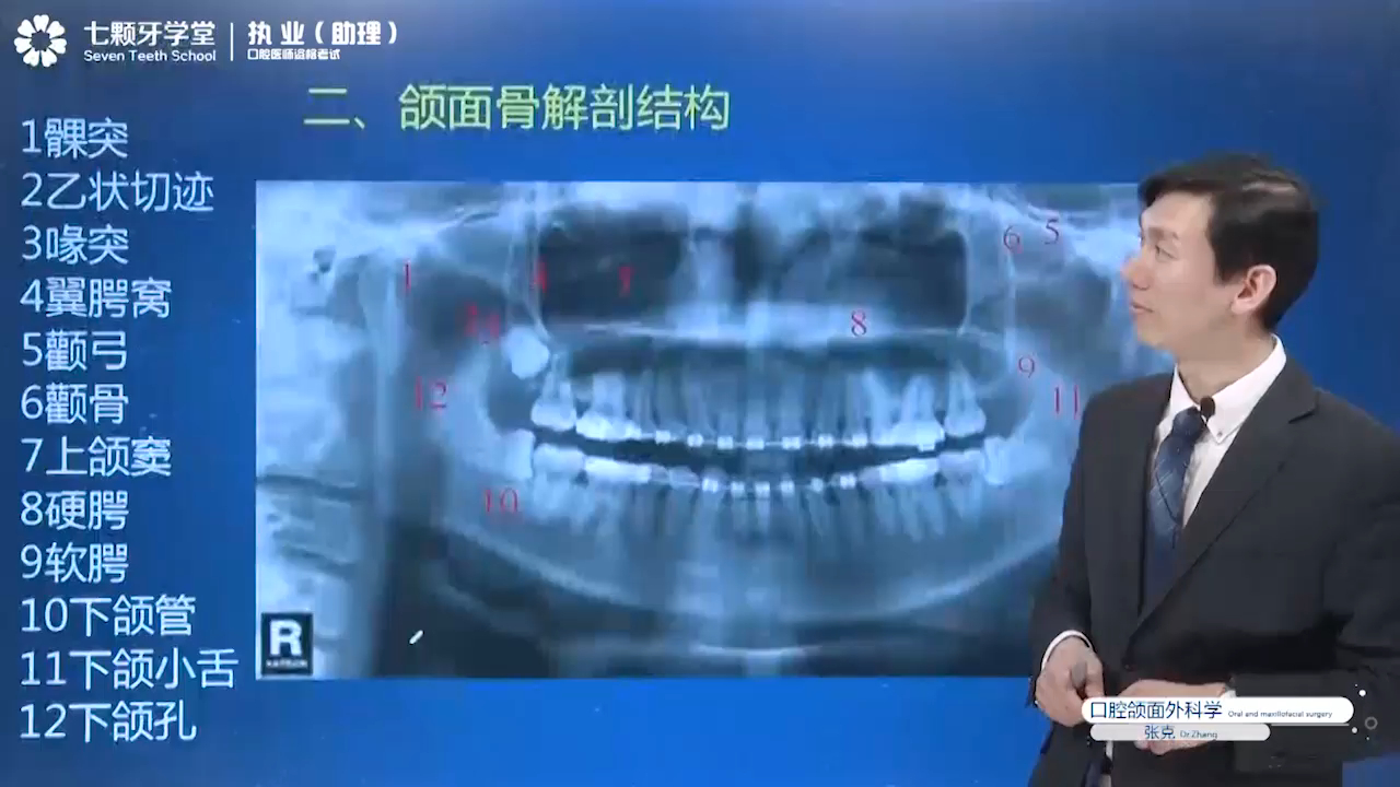 颌面骨解剖结构—七颗牙学堂