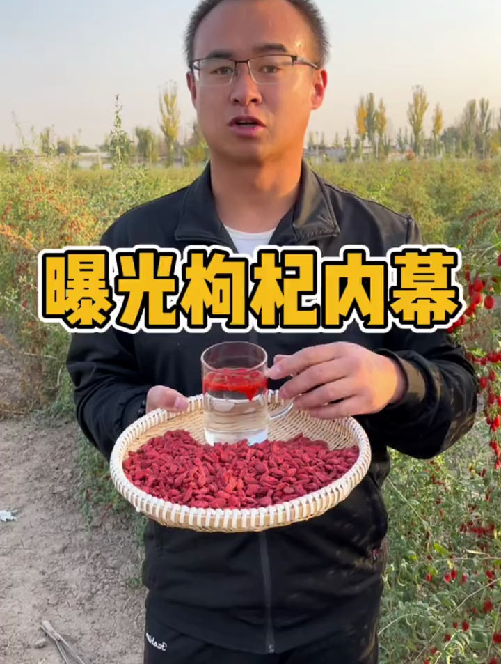 枸杞虽好但是不能乱吃,吃枸杞也要注意这些问题,千万别吃错了!
