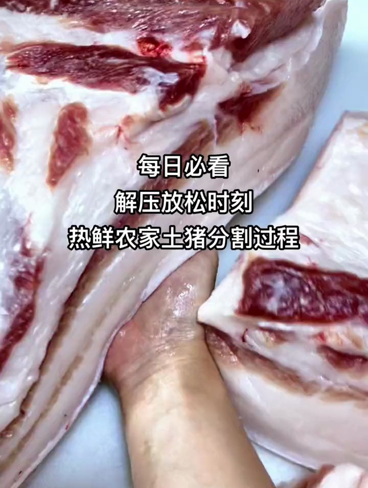 忙碌的一天总算过去了,躺在沙发上来看我的解压猪肉分割视频吧