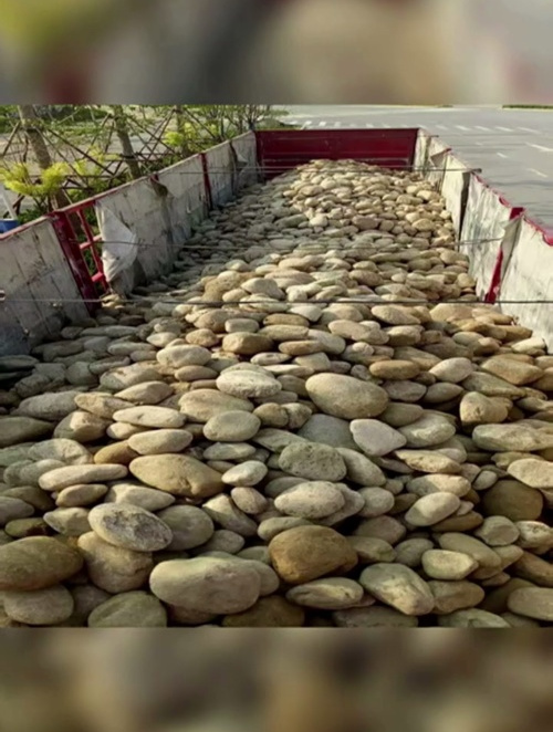 济南鱼池假山叠石 景观龟纹石 白色鹅卵石