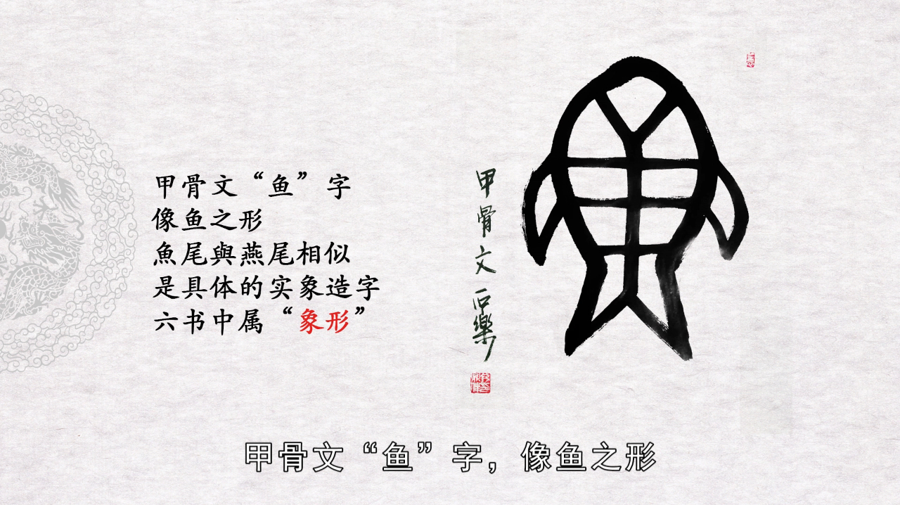 第6天 甲骨文“鱼”字的写法