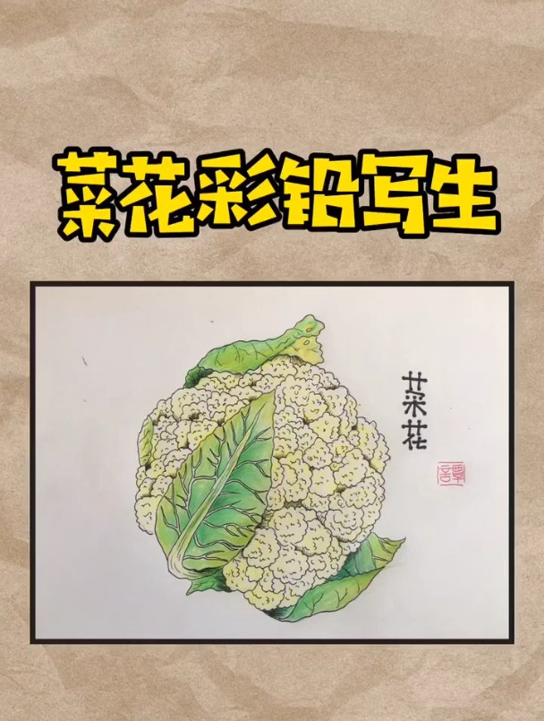 这个蔬菜,看起来复杂,画起来简单