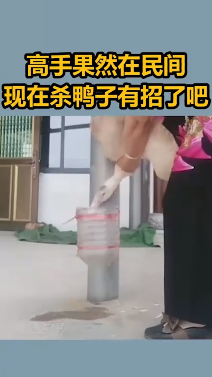 高手果然在民间,现在杀鸭子有招了吧
