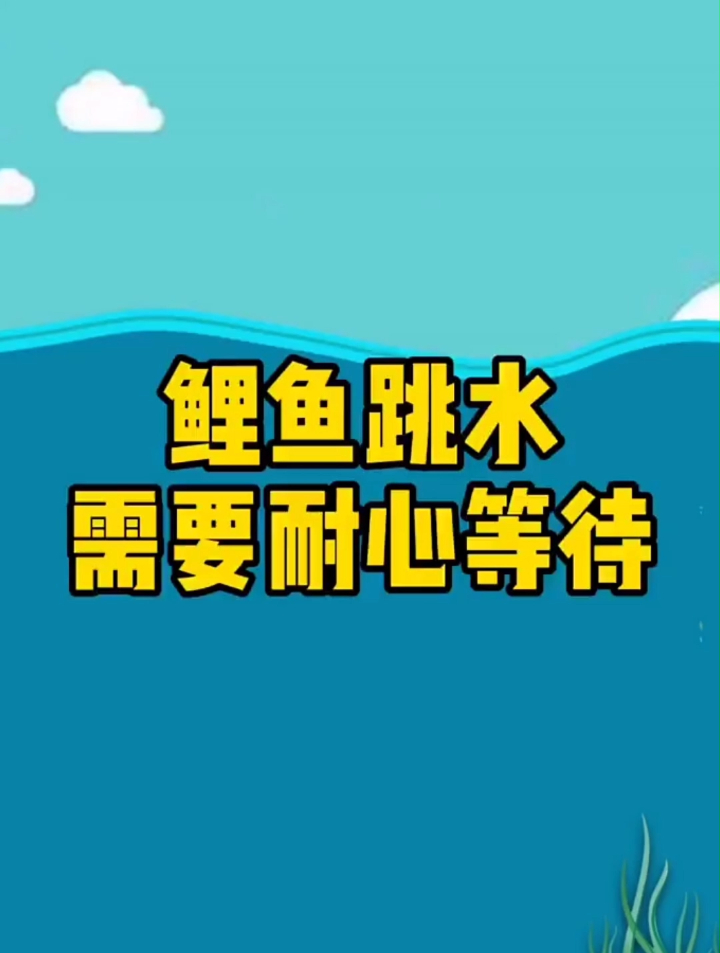 鲤鱼跳鱼难钓,是什么原因呢?看完了,欢迎来评论区点评哦!