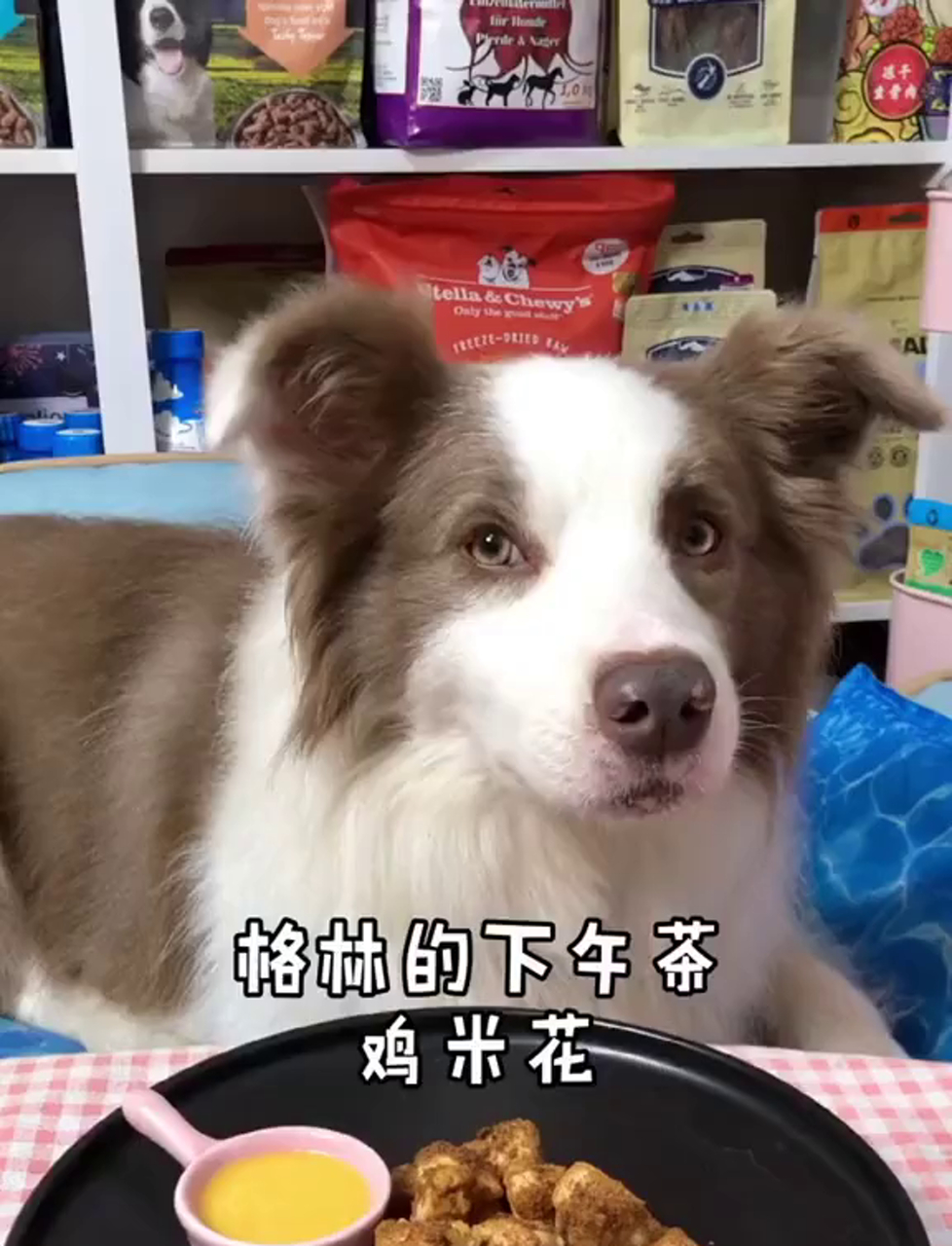 哎呀,不小心尝了格林家的炸鸡米花,味道太棒了!